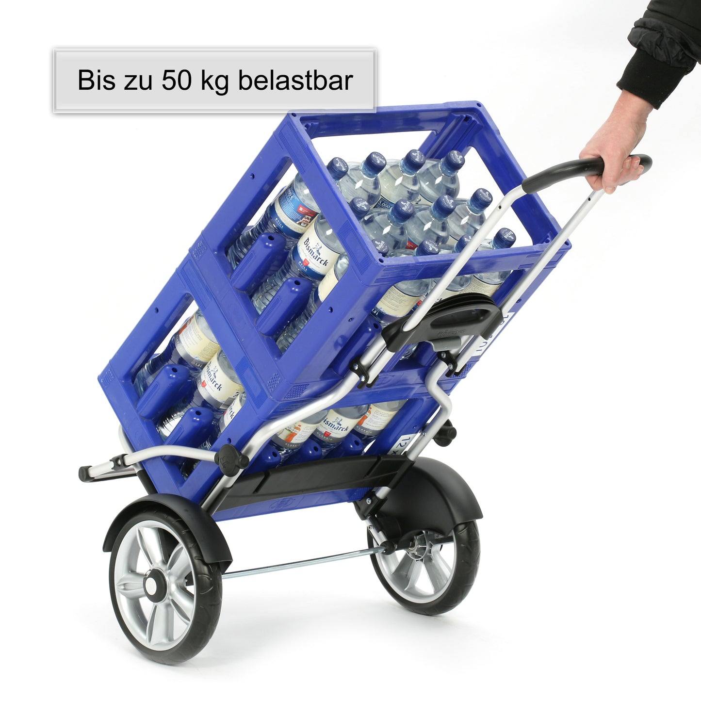 Royal Shopper Plus Loke blau kugelgelagerte leichtlaufende abnehmbare Räder - 25 cm