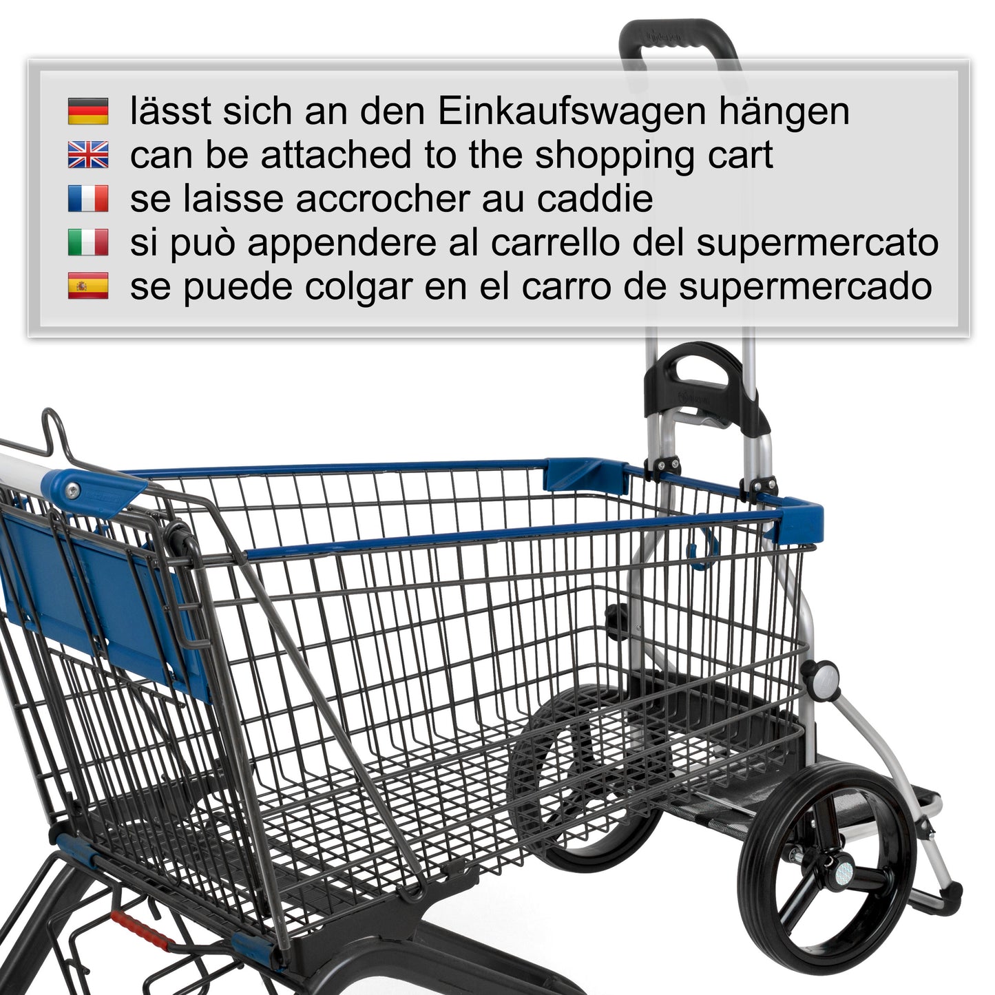 Royal Shopper Hava türkis leichtlaufende abnehmbare Räder - 25 cm